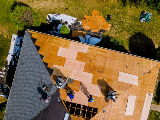 Best Storm Damage Roof Repair  in Alamae, NC