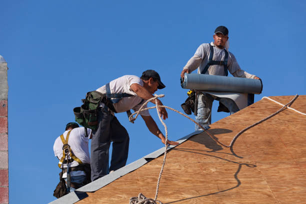 Best Roof Waterproofing Services  in Alamae, NC