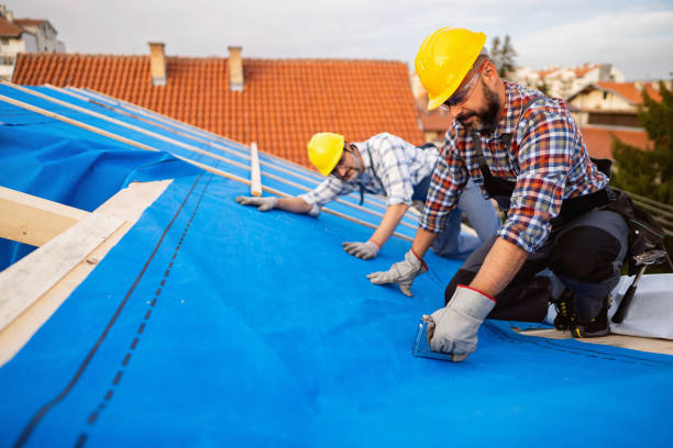 Best New Roof Installation  in Alamae, NC