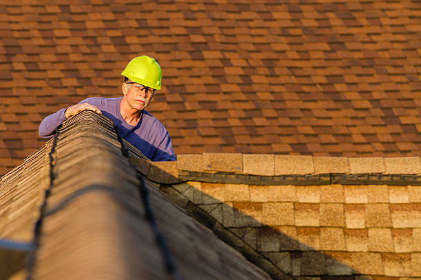 Best Roof Gutter Cleaning  in Alamae, NC
