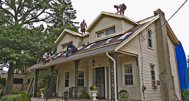 Best Metal Roofing Contractor  in Alamae, NC
